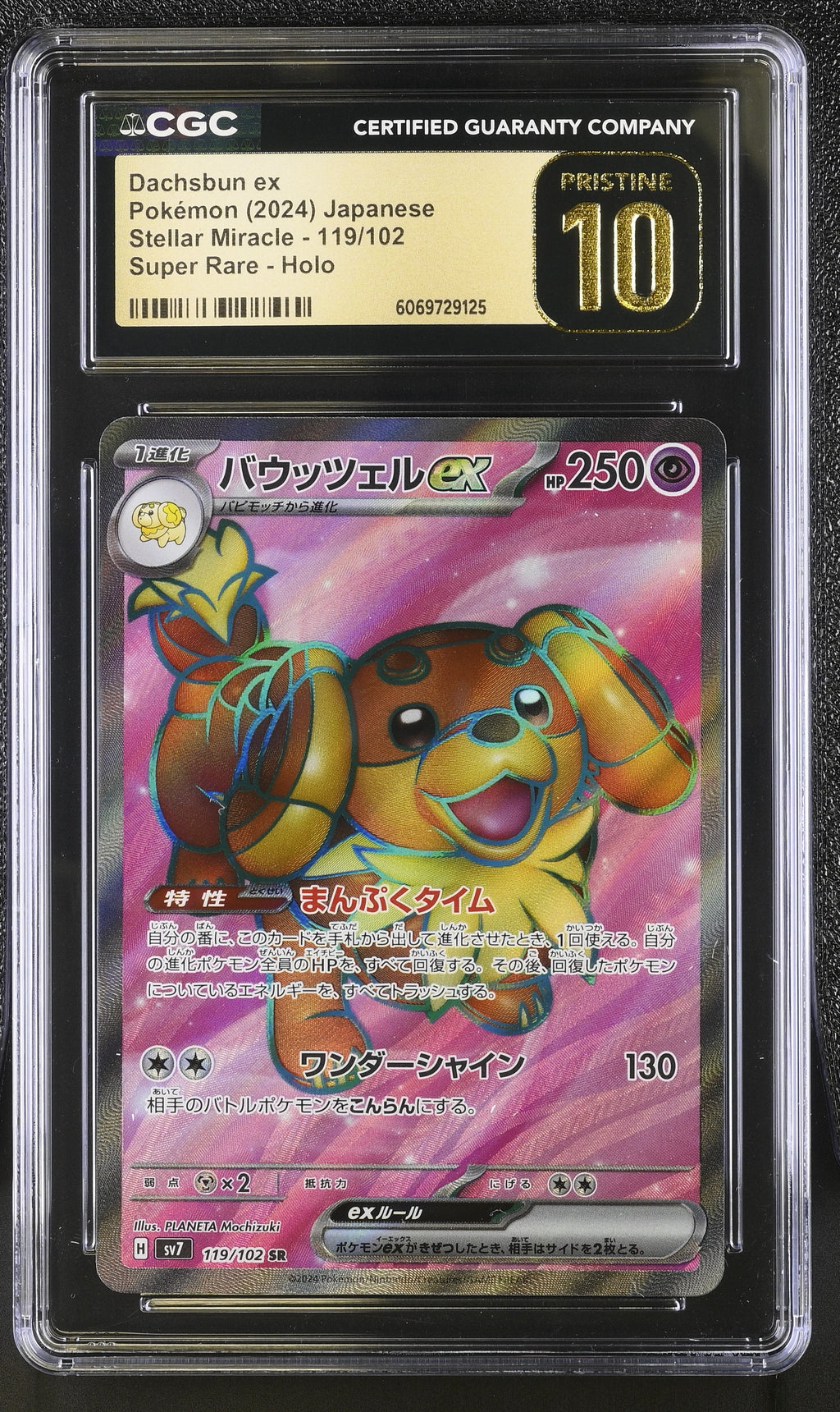Dachsbun ex 119/102 Stellar Miracle CGC Pristine 10 front