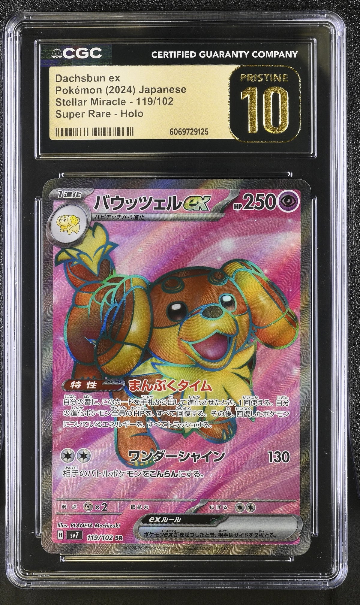 Dachsbun ex 119/102 Stellar Miracle CGC Pristine 10 front