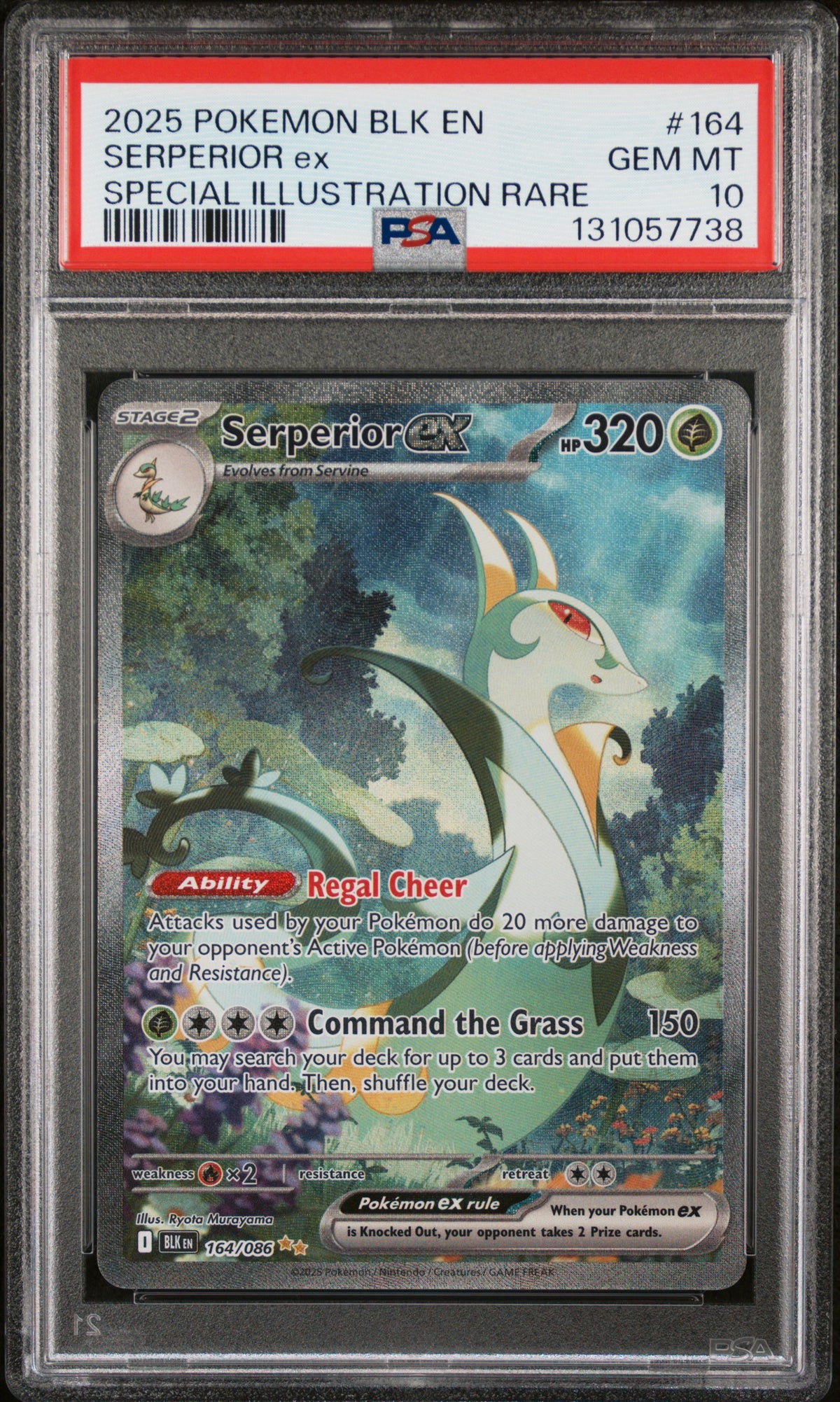2025 Pokemon Black Bolt #164 Serperior ex Special Illustration Rare PSA 10 - front of slab